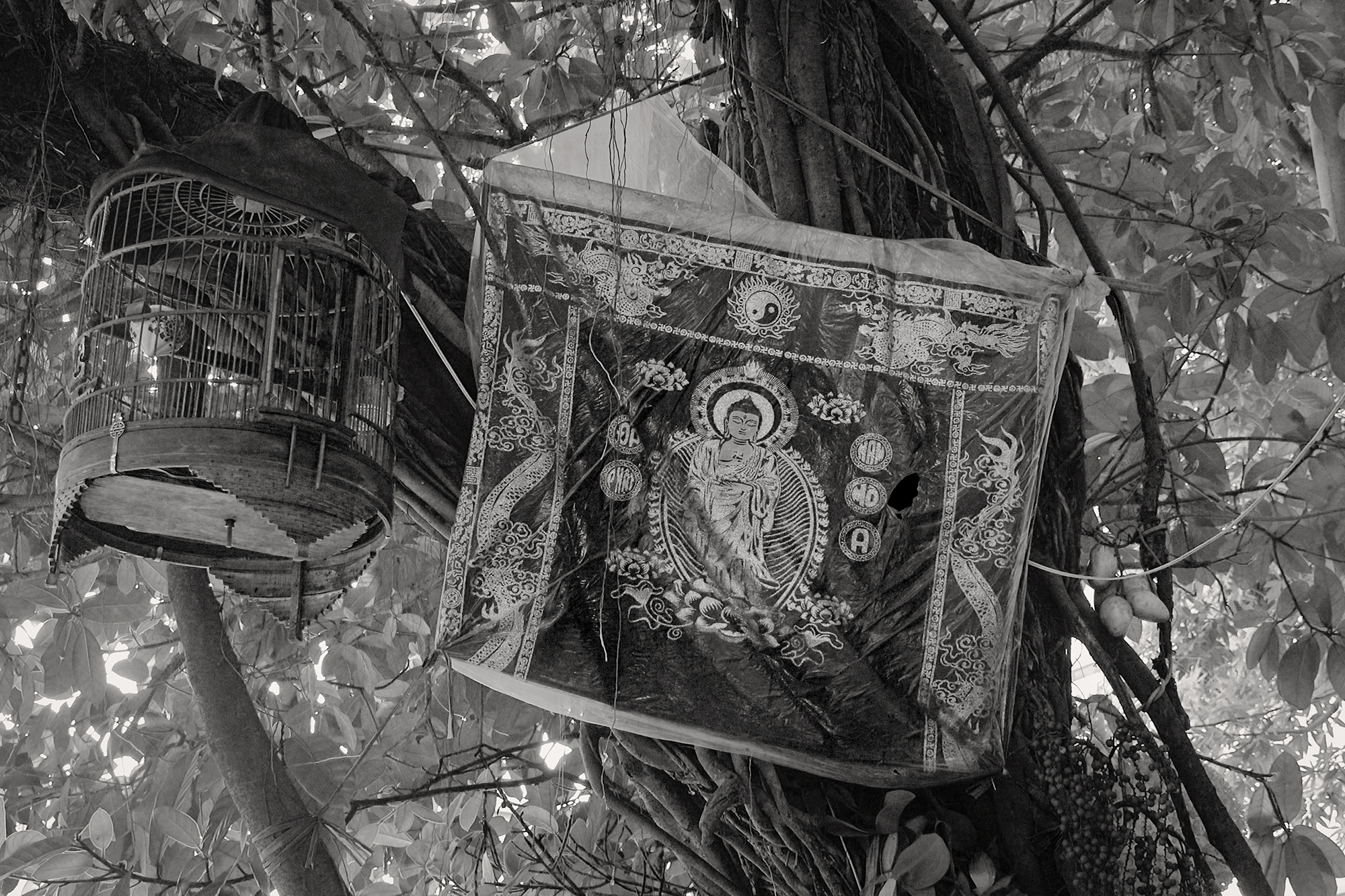 Christoph Radke, Vietnam, Hanoi, Vogelkäfig